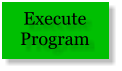 Execute  Program